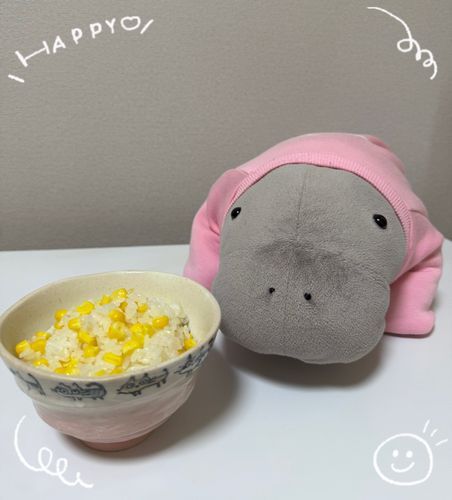 そのまま食べるのはもちろんおいしいけど、とうもろこしご飯もおいしいよね😋