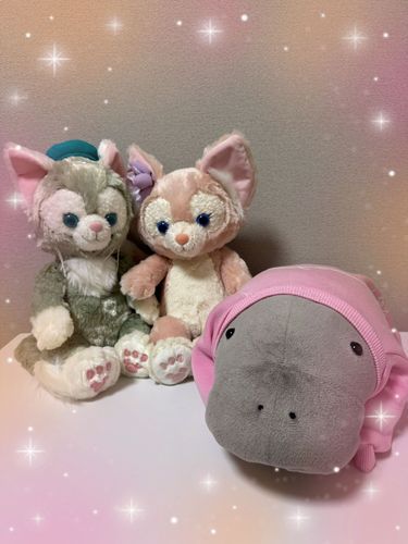 ジェラちゃん💚
ベルちゃん🩷
じゅんちゃん💖