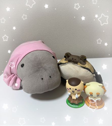 シーサーちゃんと栗まんちゃんでした！😊
かわい〜💕