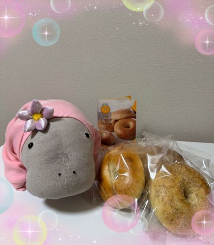 ベーグル買ってきたよ🥯
プレーン、メープル、セサミ、レーズンどれから食べようかなぁ🤤