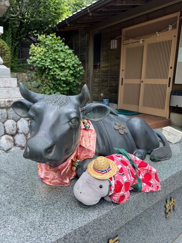 今日も暑いね☀️
浴衣に着替えてお参りに来たよ⛩️