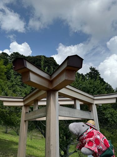 三柱鳥居だって⛩️
とても珍しいみたいだよ😳