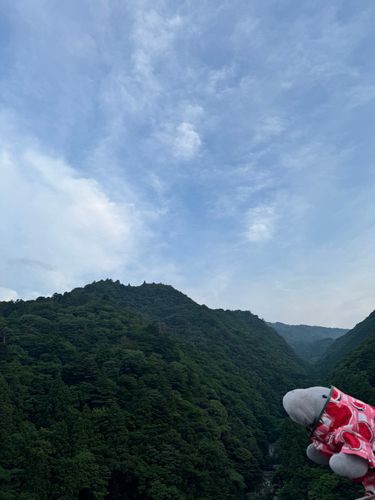 大自然と共に🌲
