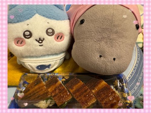 うなぎのお寿司買ってきたよ🍣
間に大葉が挟まってておいしかったよ😋