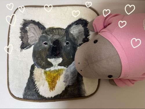 コアラさんの絵のお座布団買ってもらったよん🐨💕