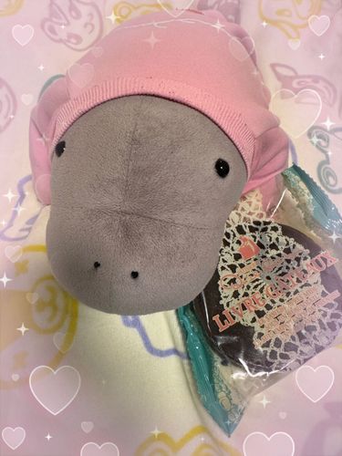 キルフェボンのチョコケーキもらったよん🥰💕