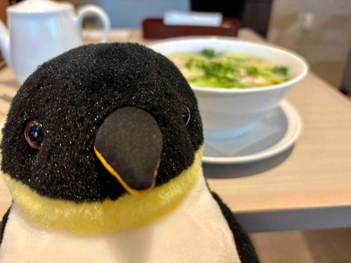 きょうはちょっとすずしいな