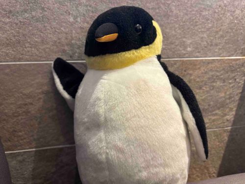 いっぱい歩いた