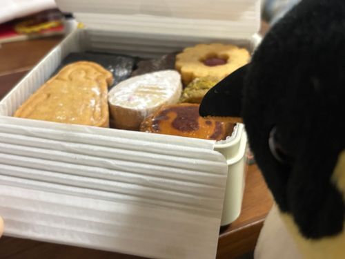 ペンギンバザールでかったクッキーかん！