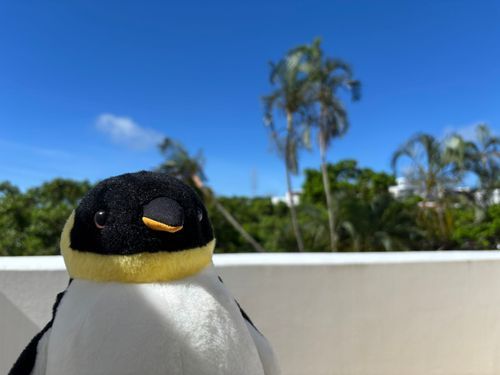 おきなわだ