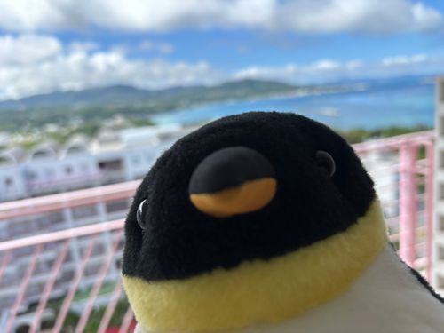 きょうも海がみえる