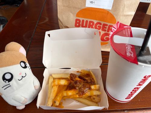 バーキンのチーズフライ美味しかったのだ〜また食べたいのだ〜