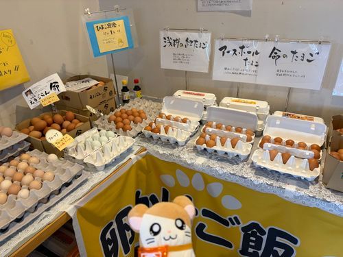 生卵食べ放題の道の駅に行ったのだー！