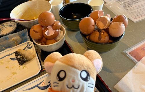 お家の人と食べまくったら殻だらけになったのだ〜