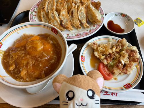 ついに王将に行けたのだ！
クーポン使ってたくさん餃子食べたのだ🥟
雑魚てゃ、耳寄り情報ありがとなのだ