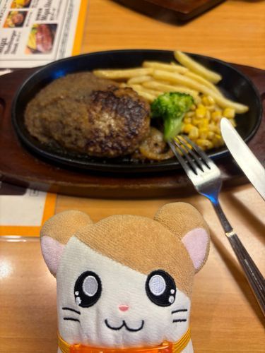 今日のランチはハンバグゥなのだ！
ライスもパンも食べちゃったのだ〜