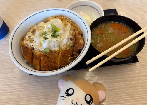 ｶｯｶｯｶｯ（ご飯をかきこむ音）