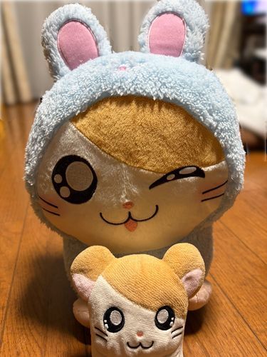 新しいおともだちなのだ！1回でお迎えできたのだ！
