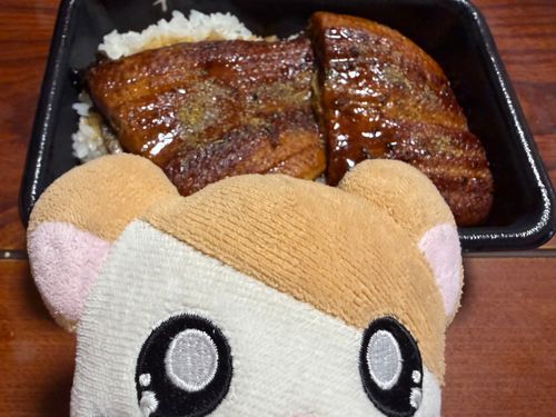 この前の土用の丑の日はお昼に丸亀製麺のうどんを食べて夜にすき家のうな丼食べたのだ！
ちょっと、ぼく、近いのだ。