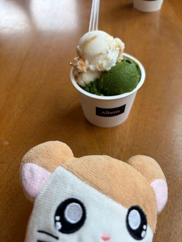 暑くてジェラート屋さんに駆け込んだのだ！
おうちの人に「ハム太郎は温室育ち」って言われたけどどういう意味なのだ？
