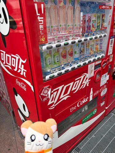 神戸に来たのだー！まずは中華街なのだ。