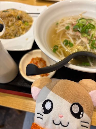 食べ歩きじゃなくて中華料理屋に入ったけど安くて美味しかったのだ〜！おうちの人がタクシーに忘れ物をしたけど運転手さんがとっても優しくて神戸がもっと好きになったのだ！ぼくも一緒にお礼をしたのだ。