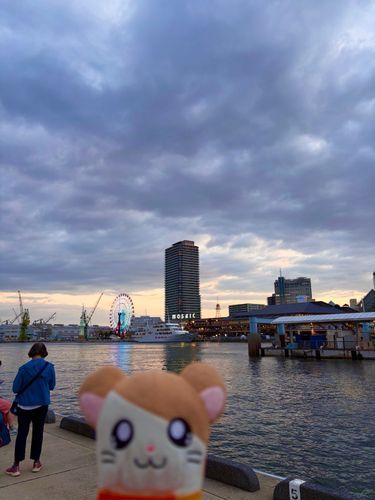 う〜ん、えもーしょなるｯ
