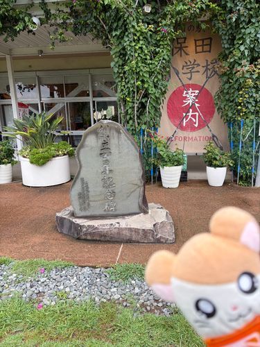 〜千葉旅行〜
小学校跡地の道の駅発見なのだ！
ちなみにロコちゃんとこの小学校にはにわとりがいてぼくたちハムちゃんずはいつも追いかけ回されるのだ💦