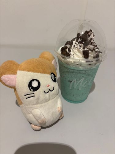 ぼく結構チョコミントせんせいが好きなのだ！