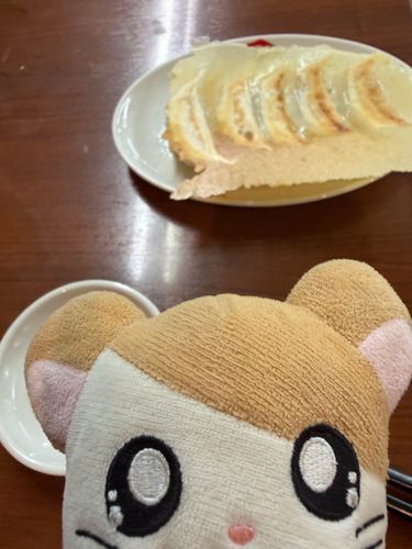 宇都宮で🥟食べたのだ！
ぼくは酢コショウ派なのだ