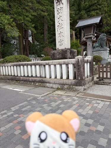 長野の諏訪大社に行ったのだ！心が清らかになった気がしたのだ。