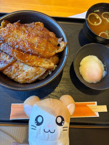 今日のランチは豚丼だったのだ！
温泉卵のせが半額キャンペーンだからマストで頼んだのだ〜