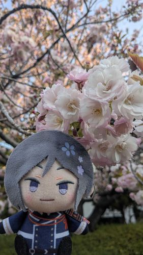 🌸