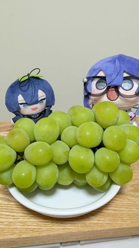 シャインマスカットだあぁぁあぁぁー！！！！！