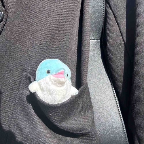 お外の光をあびたぐにょさん