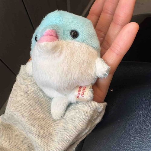 あしが引っかかってて不満そうなぐにょさん