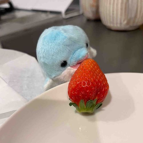 はじめて苺をたべるぐにょさん