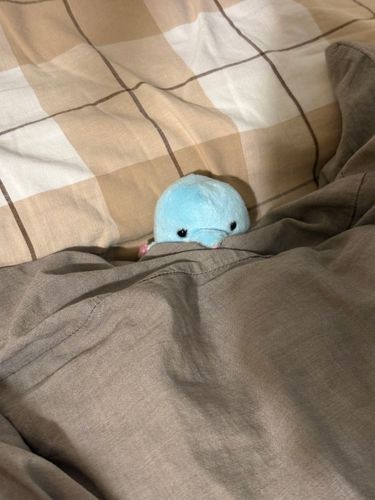 おふとんで待っててくれた
