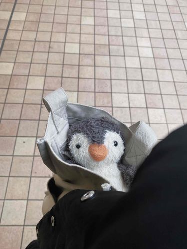 寒すぎて、かいぬしに何回もかえろう？って言ったけど、むしされた