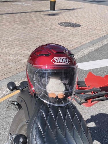 かいぬし、前が見えないからやめて