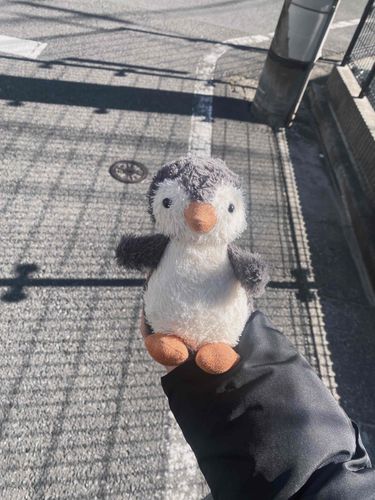 さむいよかいぬし