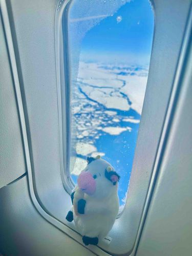 これは　あいすらんど　とおったときの　しゃしん！
かいぬし　が　しゃしんとってくれてたら　ふらんすじん　の　おじさん　にこにこ　わらってた！
ちょびっと　だけ　はずかしかった！