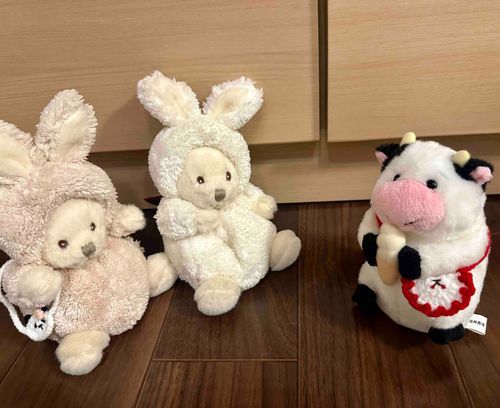 どいつからきた　わがやの　ふぁっしょんりーだー　うさぎちゃんしまい🐰
ふぁっしょん　あどばいす　もらったよ〜🌼