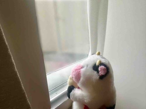 おてんき　わるかったけど
ちょっと　はれてきた☀️
つゆも　わるくないね