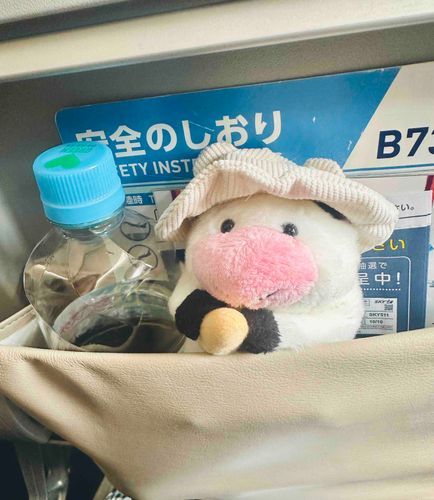 ごかいめ　の　ひこーき！
じっか　って　とこに　いくらしい