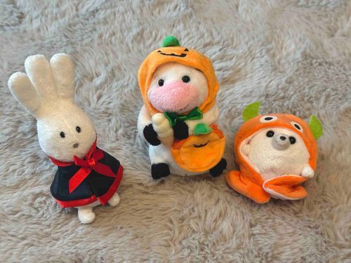 みんなで　おきがえたいかい　したよ♪
うしは　だいこうぶつの　かぼちゃのおようふく！🎃
にかげつご　に　きるらしい
にかげつごに　なにが　あるのかな？
