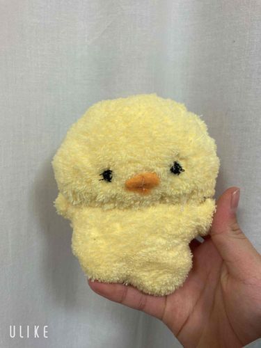 今日産まれたよー！名前は、まだ考え中……🤔よろしくね❣️