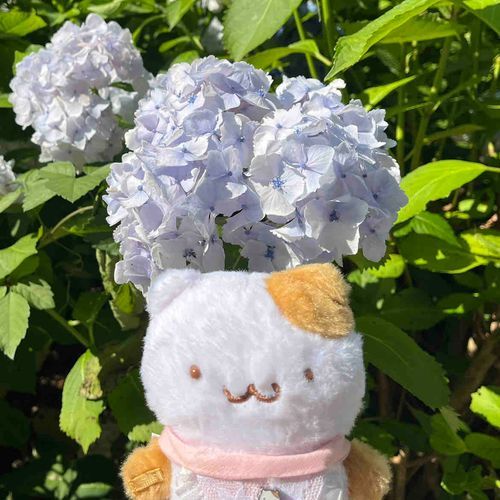 Xアカウント : @muffin_dechuu