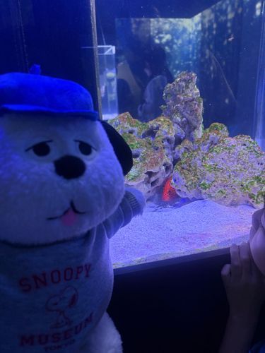 水族館に行ってきたよ！
品川アクアパーク感動！！