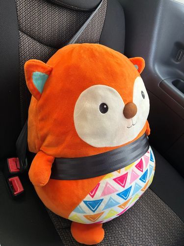 今年の夏、一緒にじいじとばあばの家に行ったぽんちゃん(ぽん太)